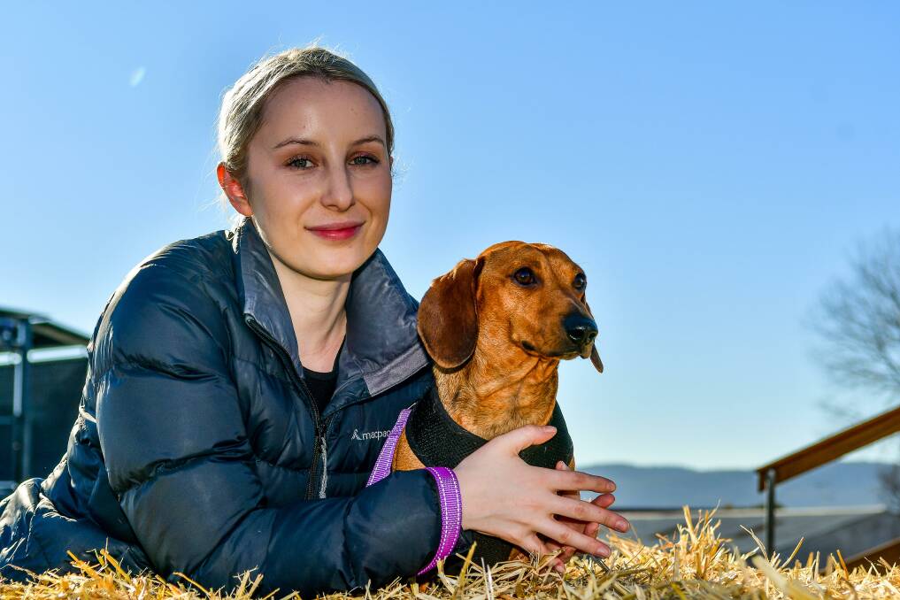 Launceston's Shannon McCarthy with dachshund Harry.