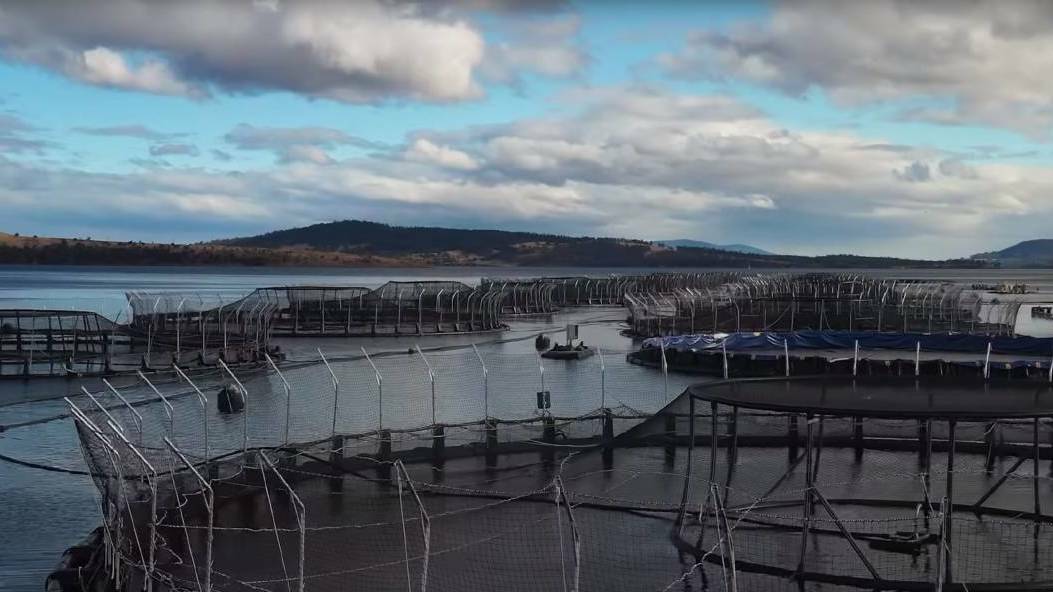 A sustainable and secure future seafood system is one of 12 challenges being considered by the workshop in Hobart this week.