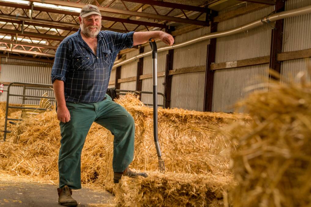 SPREADING THE SPIRIT: Michael Smith prepares a cattle shed for the Launceston show. Picture: Phillip Biggs