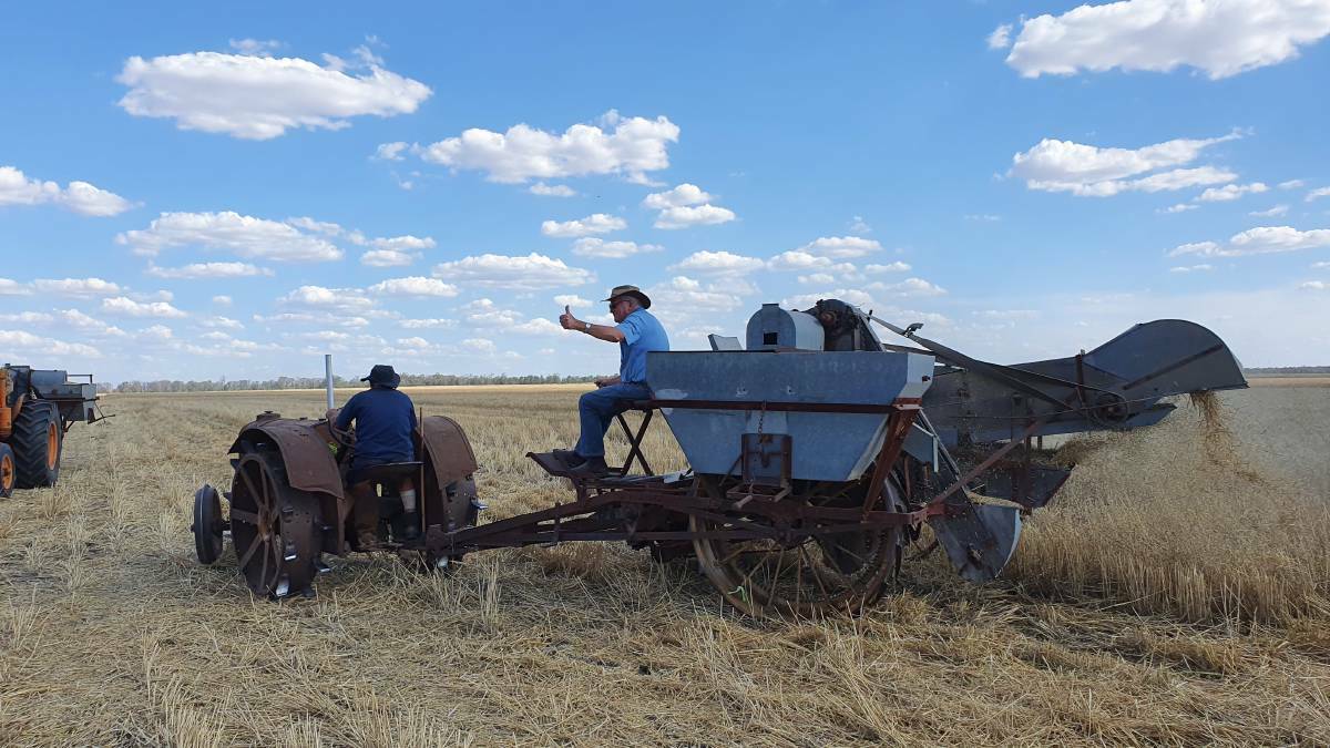 The 1930s Fordson tractor and Sunshine header in action at the Croppa Creek Classic Harvest. Photo: Cheryl Timmins