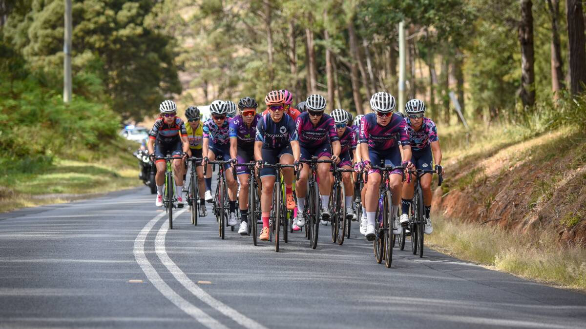 Big pack: The elite and under 23 Australian and New Zealand riders go up the major incline on the first lap of the 26.25km course. Picture: Paul Scambler.