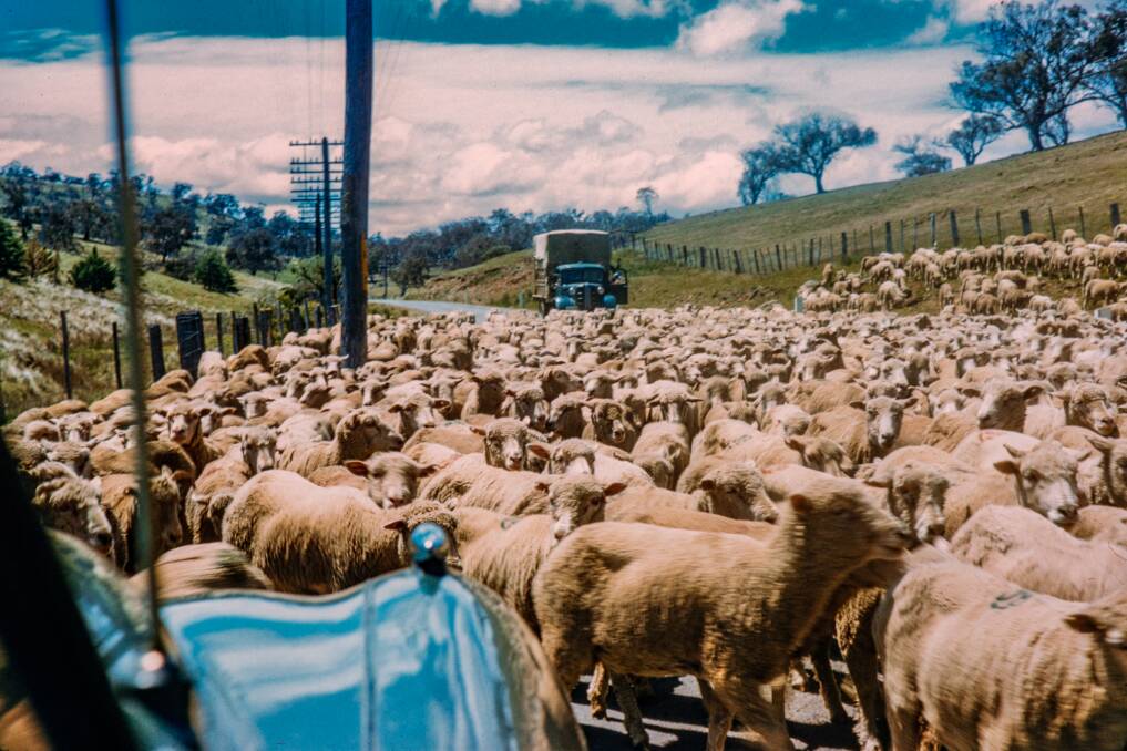 Traffic jam on the Midland Highway near St Peters Pass, 1958. Picture: George Biggs