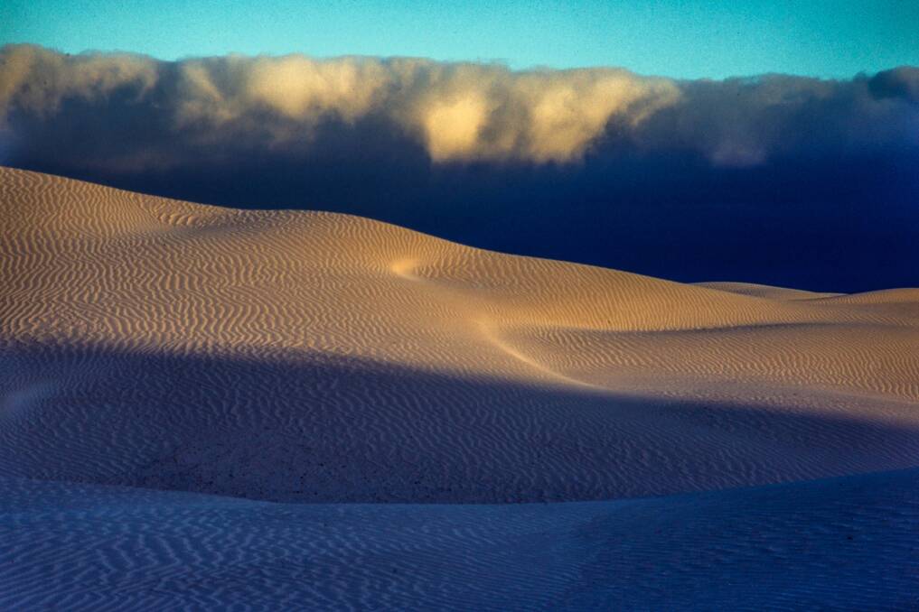 Sceale Bay dunes, January 1994