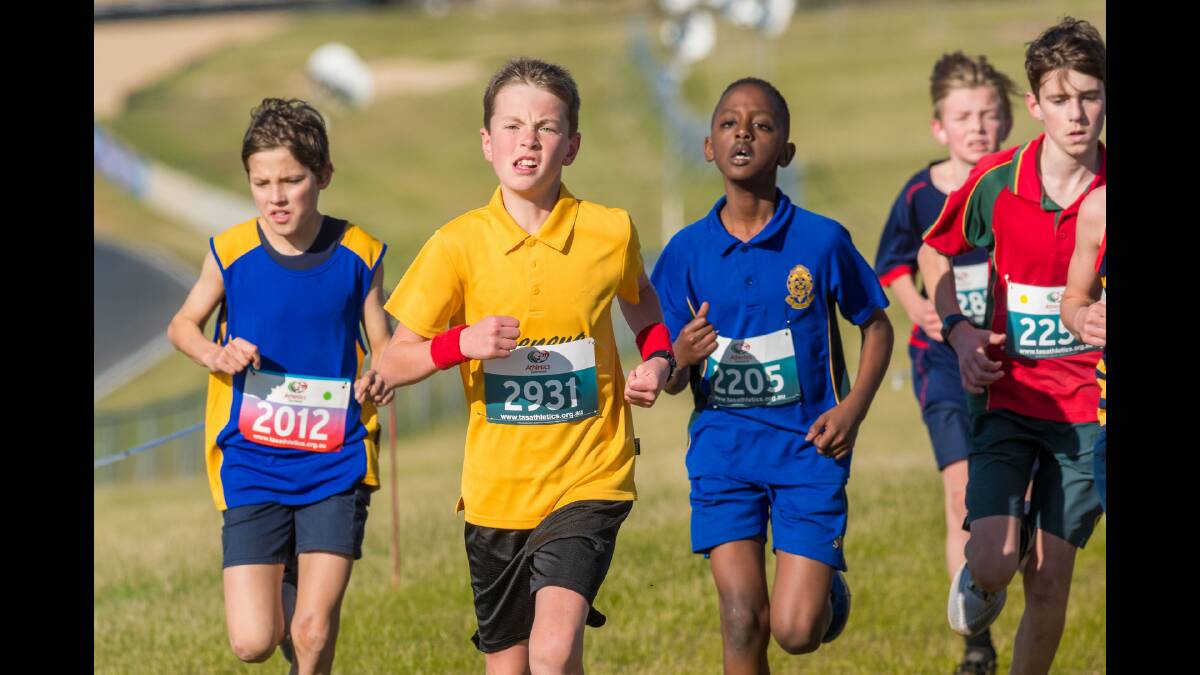 NHSSA and Athletics Tasmania all-schools cross-country carnivals from Tuesday June 25.