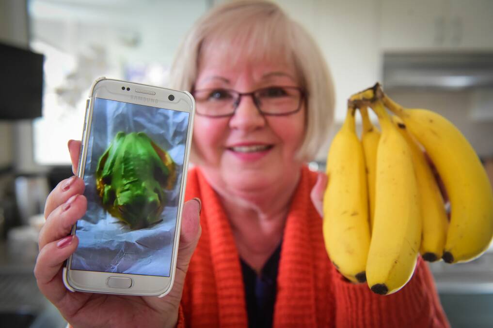 HITCH-HIKER: Linda Emery of Norwood holds a photo of the green frog that was inside her bananas she bought from a supermarket. Picture: Paul Scambler