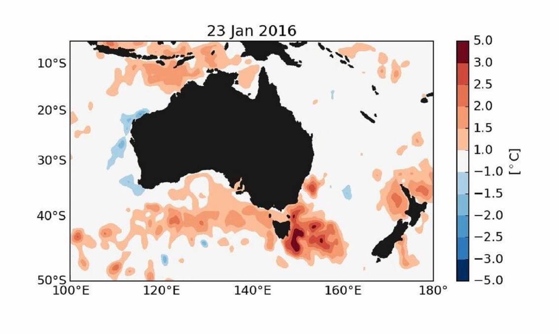 HOT SUMMER: The marine heatwave off reached peak intensity of 2.9 degrees Celsius, which a University of Tasmania study found was human-induced. Picture: Supplied
