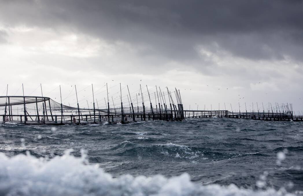 Fortress Pen at Storm Bay. Picture: Huon Aquaculture Group