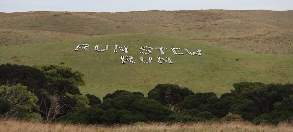 RUN FOR THE HILLS: Support for Stewart McSweyn from his King Island home ahead of Friday night. Picture: Twitter