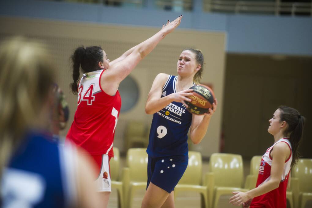IN YOUR FACE: Tornadoes forward Ellie Collins looks to block rival Adelaide Fuller. Picture: Dion Georgopoulos 