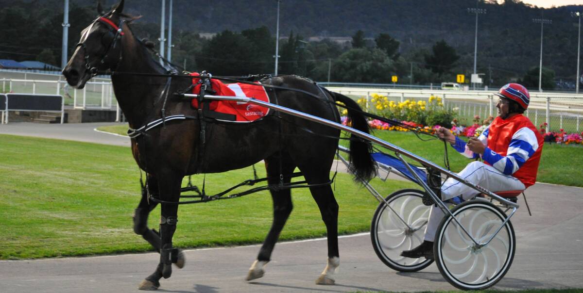 HARD-LUCK RETURN: Modern Ruler with Spreyton trainer/driver Steve Davis had a firm first test on Sunday night in the Storm Goddess Pace at Launceston. Picture: Greg Mansfield