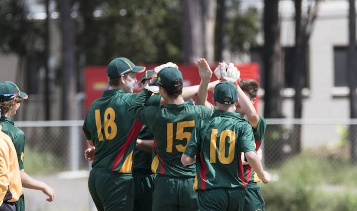 YIPPEE: Joyous Tasmanians celebrate a wicket at the under-15 national championships. Picture: Supplied.