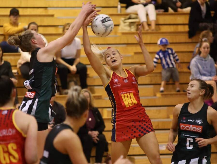 CLASH: Tasmanian goal attack Sam Gooden flies for the ball against Southern Force midcourter Tayla Williams. 