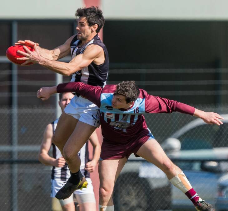 SOARING: Magpie Joe Krushka flies high for the ball in the NTFA first semi-final final between Scottsdale and Hillwood on Sunday at Invermay Park. Pictures: Phillip Biggs