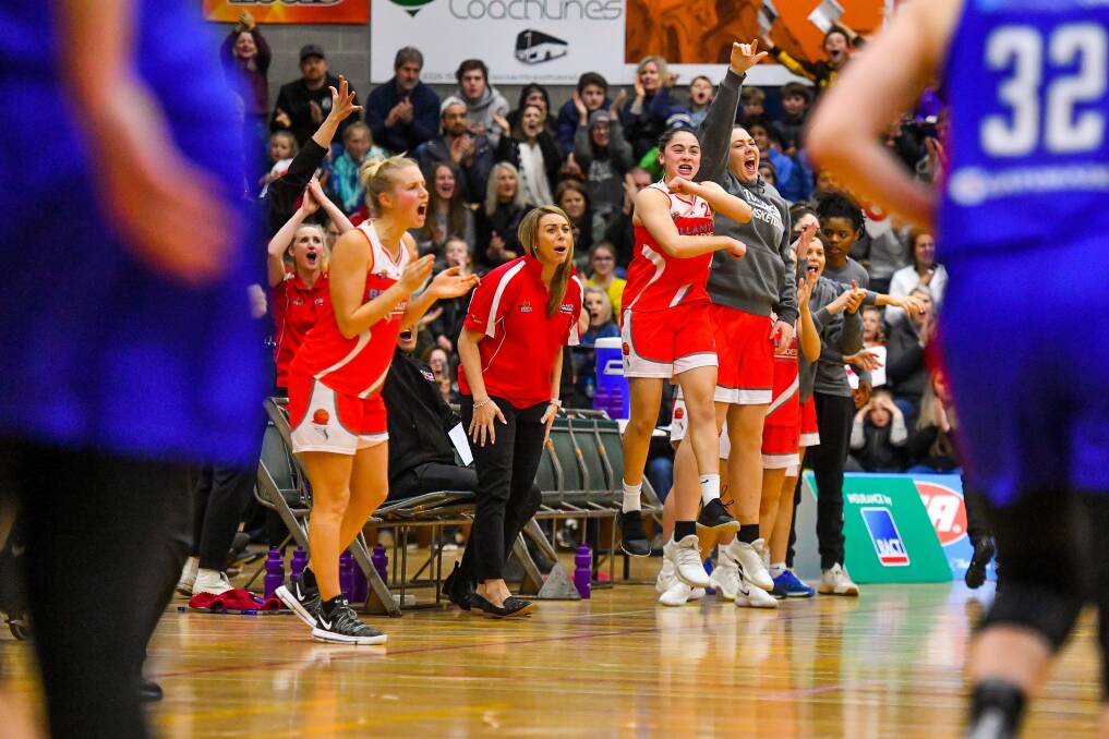 WE ARE ONE: The Tornadoes bench of Emma Haywood, assistant coach Lisa Patterson, Aishah Anis and Jayde Brazendale go wild among jubilant scenes. Picture: Scott Gelston