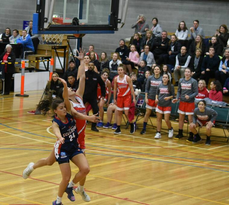 EXCITEMENT: Launceston Tornadoes' return to play inside Elphin Sports Centre could happen this year should coronavirus restrictions be lifted.