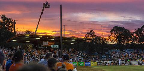 BALL GAME: Could this be a sight in Tasmania in the 2019/20 summer? Picture: ABL images.