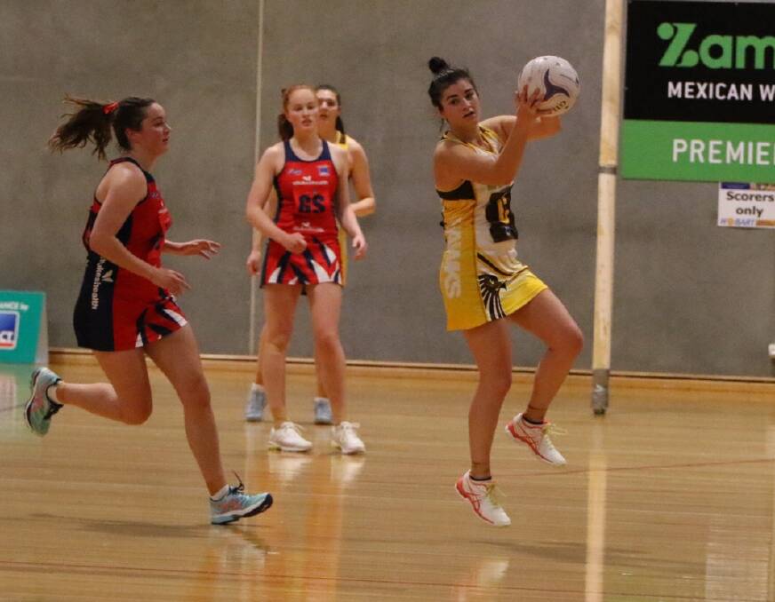 RELIABLE: Stephanie Walker will be on the court amid a number of key Northern Hawks losses. Picture: Jess Stevenson