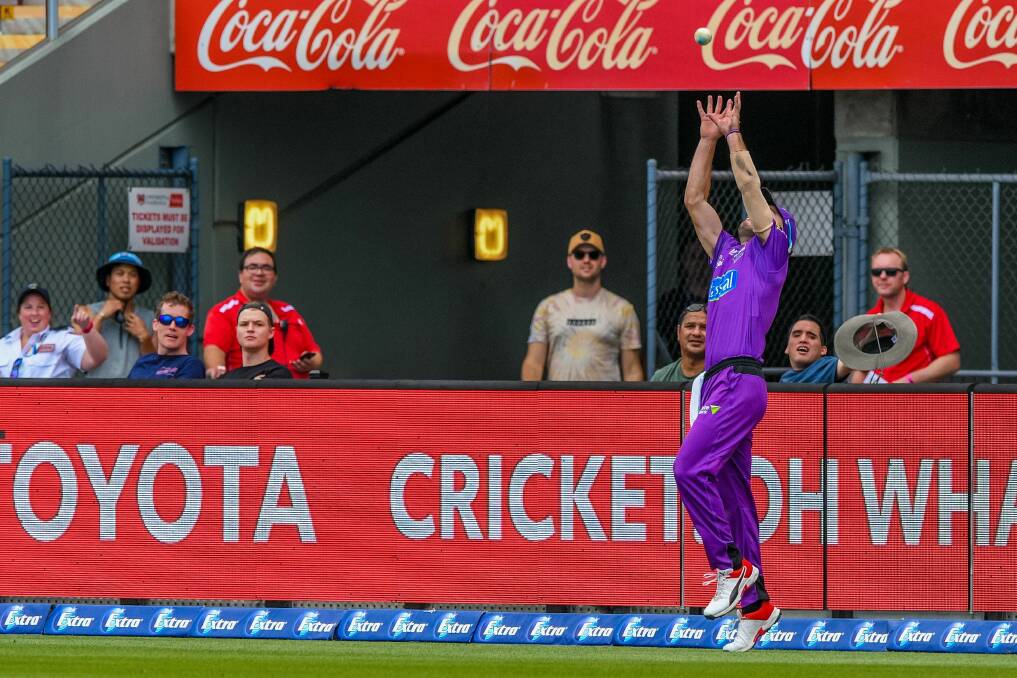 TAKE IT: Caleb Jewell catches out Travis Head a step away from the boundary to the joy of home Hurricanes fans.