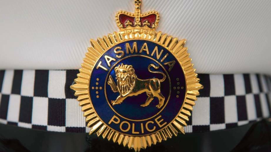 Teenager dead after car crashed into tree on Tasman Highway