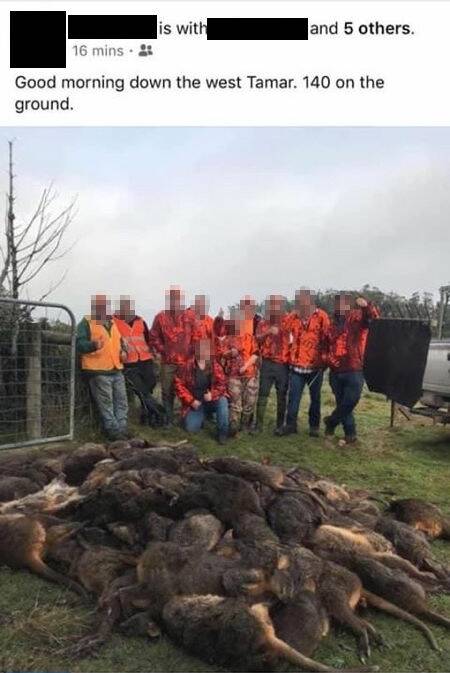 CONTROVERSIAL IMAGE: A Facebook post which showed Tasmanian hunters in front of 140 dead pademelons has sparked outrage online. Picture: Animal Justice Party/Facebook