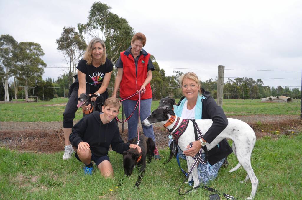 EXCITED: Greyhound off-leash area enthusiasts Sara Redman, Cameron Kirkby, Maxine Butwell and Rosalie Saville. Picture: Ryan Young.