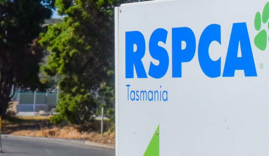 RSPCA Tasmania boss hits back at animal rights advocates