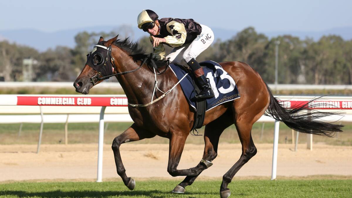 COMMANDING: Bennelong Dancer scored a soft win in the Country Championships qualifier at Albury in 2019 with Blaike McDougall aboard.