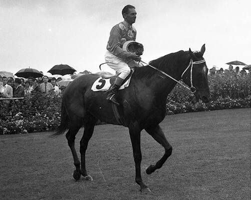 Two time Melbourne Cup winner Rain Lover with legendary jockey Jim Johnson. Picture supplied by Australian Racing Museum Collection