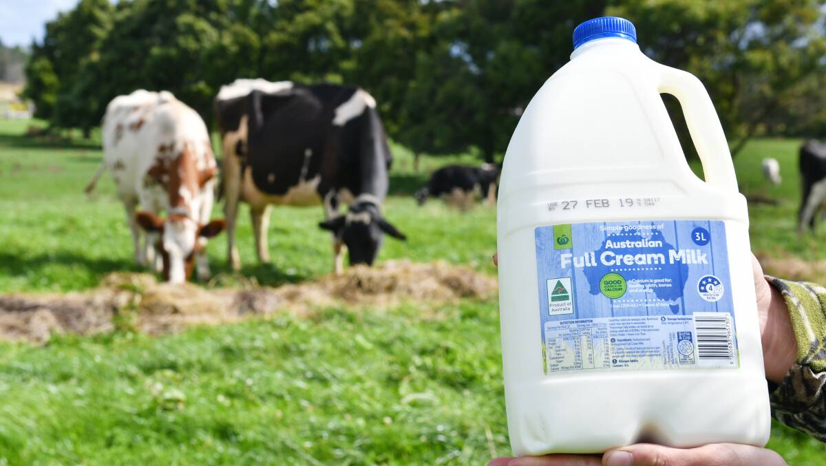Woolies milk price lift “a step in the right direction” for Tasmanian dairy farmers