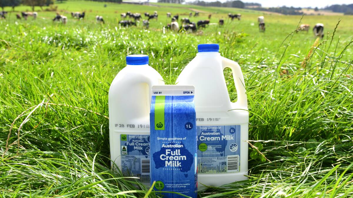Woolies milk price lift “a step in the right direction” for Tasmanian dairy farmers