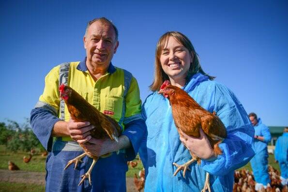 Eggciting: Pure Food Eggs farm manager John Sattler and Off the Table Tasmania's Anna Yip on a farm tour. Picture: Paul Scambler 