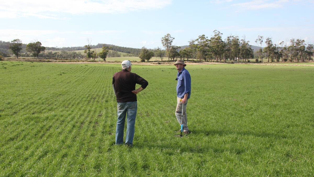 Practical day: Pastures project consultant Eric Hall talks pasture establishment with Ben Hooper. Picture: Supplied