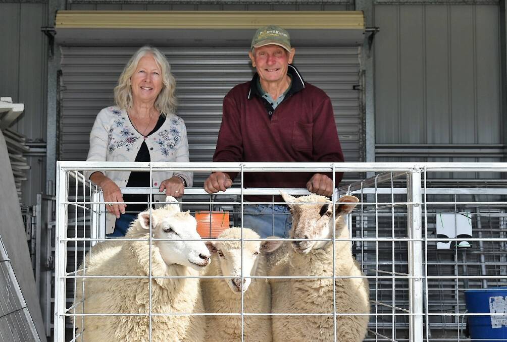Show time: Sponsorship, advertising and publicity manager Hilary Keeley and Sheep steward Allan Middleton. Picture: Rebecca Morris 