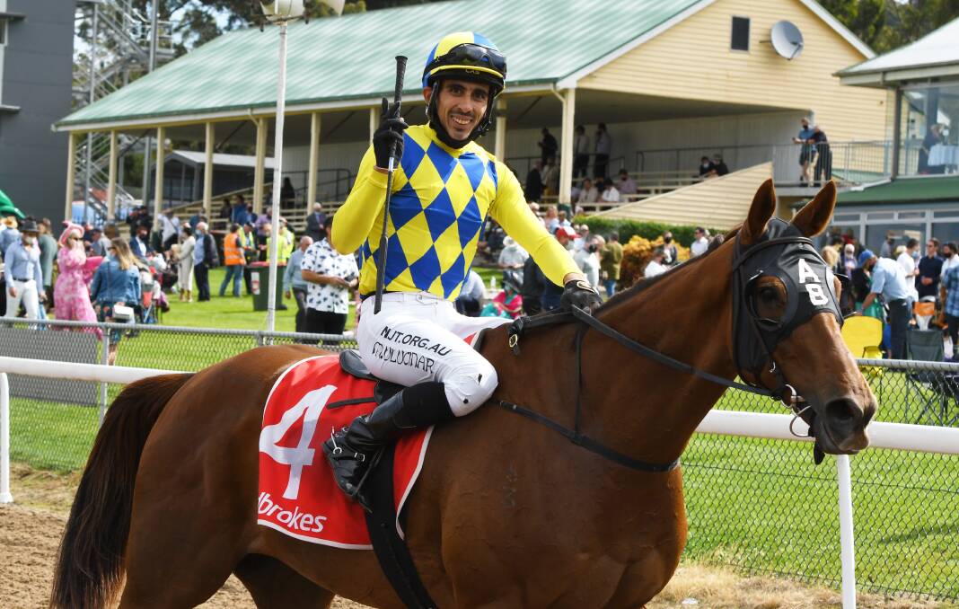STRONG SUMMER: Jockey Mehmet Ulucinar and White Hawk after winning the 2022 Devonport Cup. Picture: Brodie Weeding 