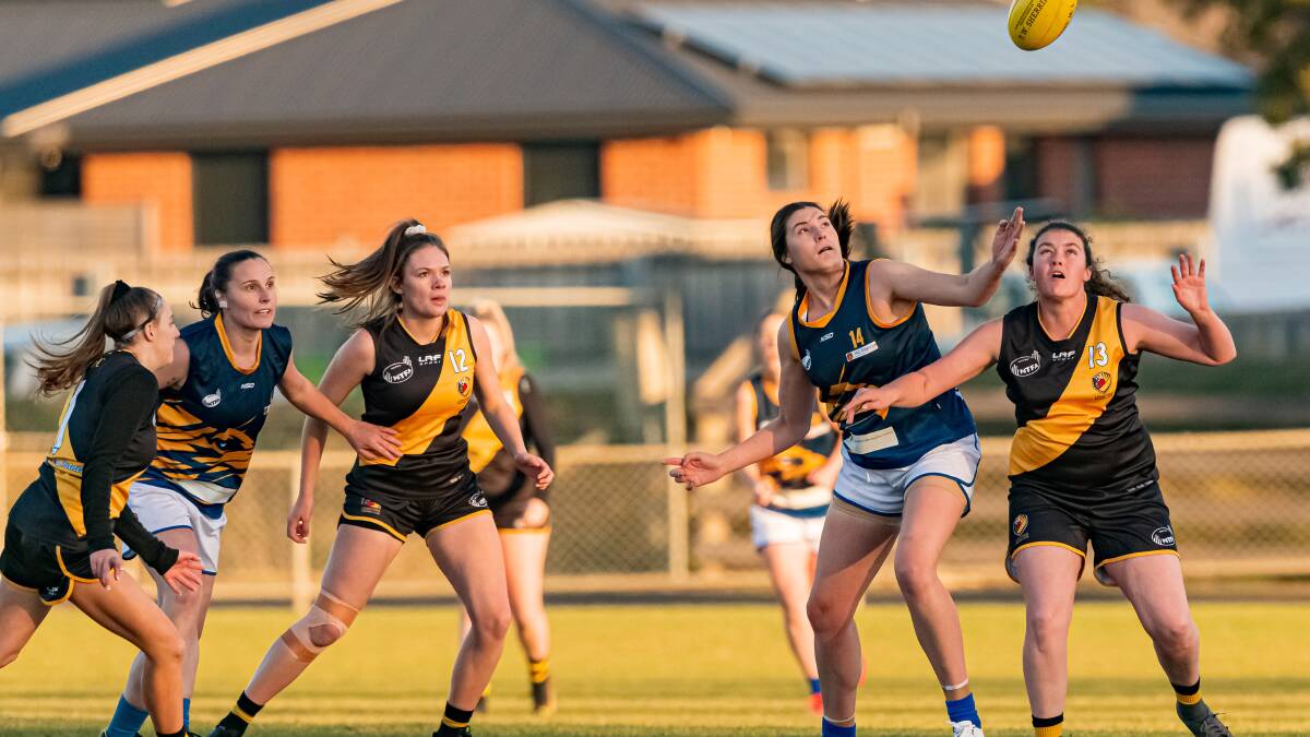 GAME DAY: Evandale in action against Longford earlier this year. Picture: Phillip Biggs 