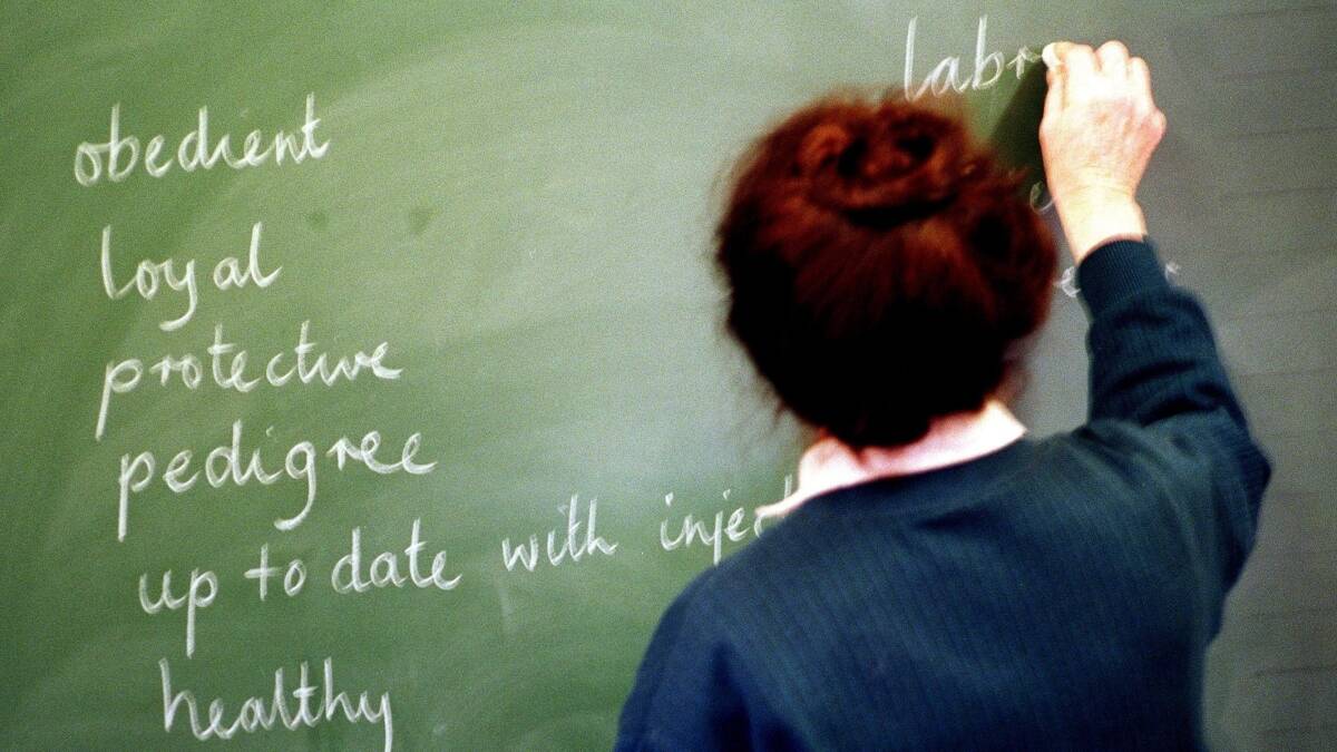 Education Department stress claims on increase