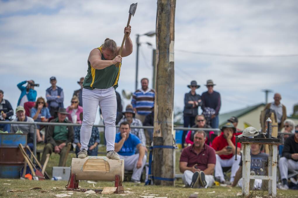 Action stations: Amanda Beams, secretary for the Northern Tasmanian Axemen's Association, competing in the underhand handicap at Exeter Show. Pictures: Scott Gelston