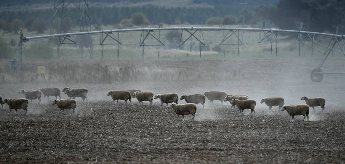 At risk: Nine out of ten Australian farmers say they are concerned by unpredictable rainfall and increased weather events. Picture: Neil Richardson