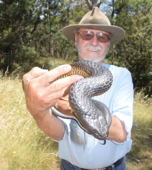 Your pictures of snakes across Tasmania this summer.