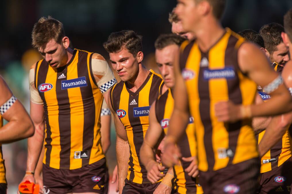 The future: The Hawthorn Hawks are pushing for a women's team to join their AFL men's team. Picture: Phillip Biggs