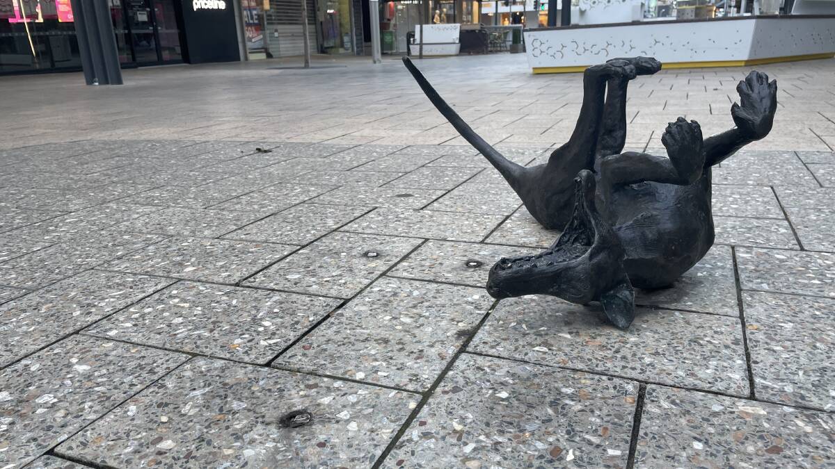 Debate reignites over mall's Tassie Tiger statues