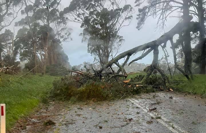 More damage on King Island. Picture: Tegan Hennessy.