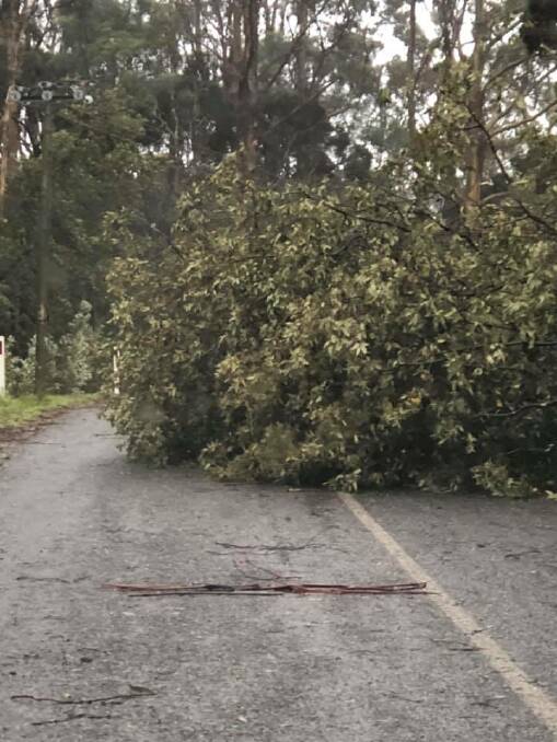 Storm damage on King Island. Picture: Supplied