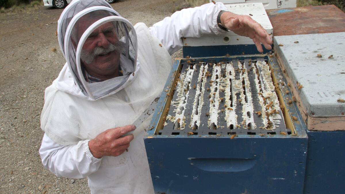 BITTER BATTLE: Master beekeeper Lindsay Bourke says Australia will not give in against New Zealand's push to trademark Manuka honey which is back in court. Picture: file.