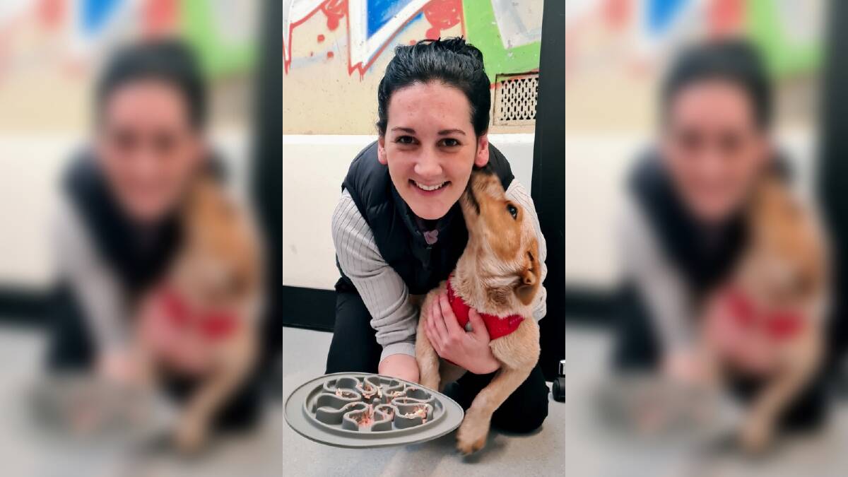 DR AND PATIENT: Dr Jenny Griffith, pictured with patient Millie, says all dogs have the potential for aggression and owners need to be aware of the signs. Picture: Supplied