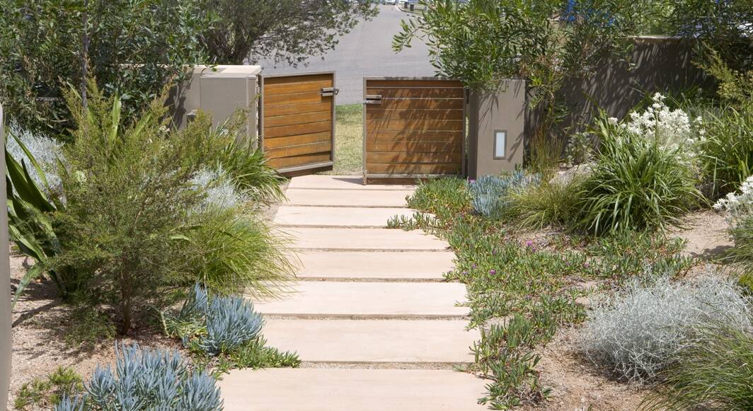 Fill a large spaces with mass plantings of ornamental grasses and low-maintenance varieties like Lomandra,Echiums, Westringias, Casurinas and succulents.