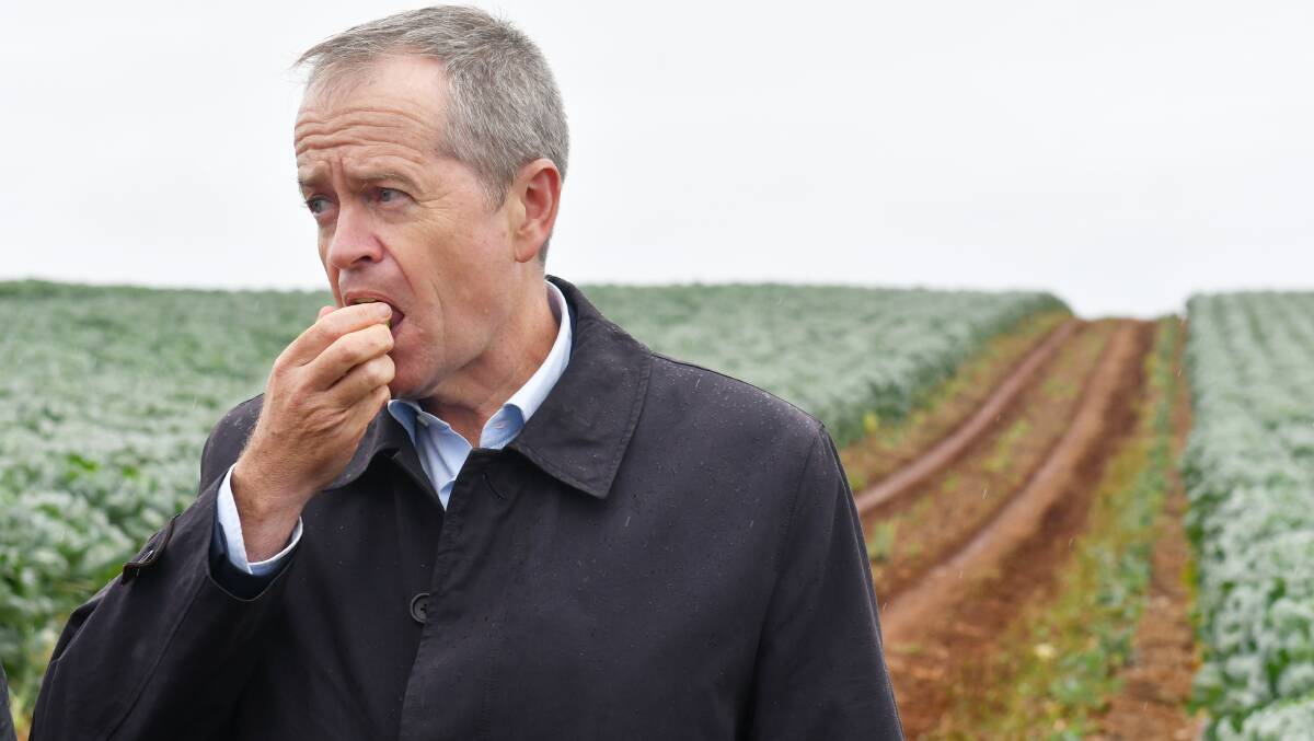 TASTE OF TASMANIA: Opposition Leader Bill Shorten in Tasmania on March 23 for an announcement about irrigation schemes. Picture: Brodie Weeding.