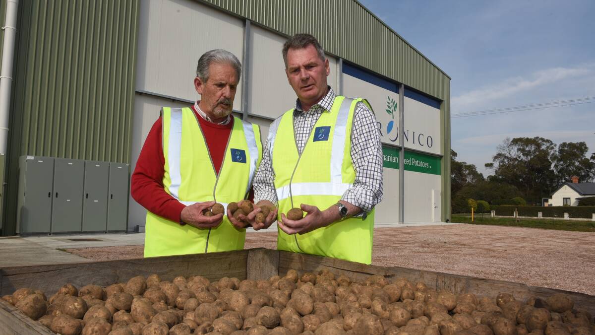 GROWING MARKETS: Horticultural Export Group Tasmania group executive Ian Locke and Senator Steve Martin check the potatoes at Agronico. Picture: Paul Scambler.