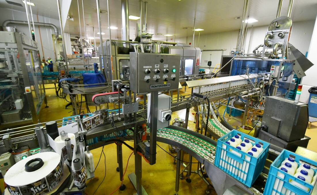 KEY ASSET: TasFoods Limited's Betta Milk factory in Burnie. Picture: Brodie Weeding.