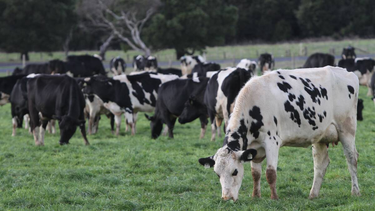 MILKING IT: Agribusiness has played a significant part in Tasmania's recent economic growth.
